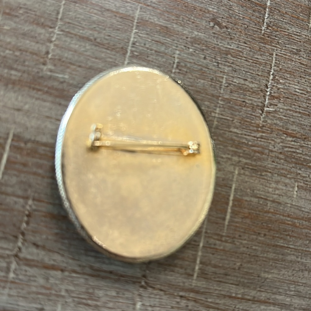 Hand painted brooch - Picture 4 of 5